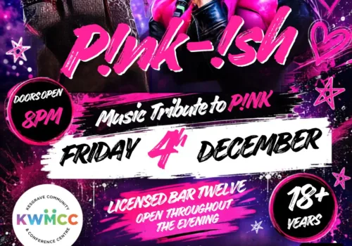 P!nk-ish Music Tribute Night - Ipswich.love