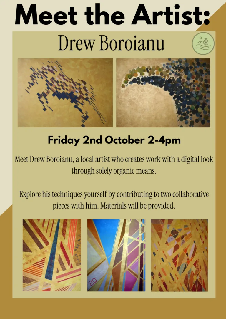 Artist Talk:  Drew Boroianu @ MOTE - Ipswich.love