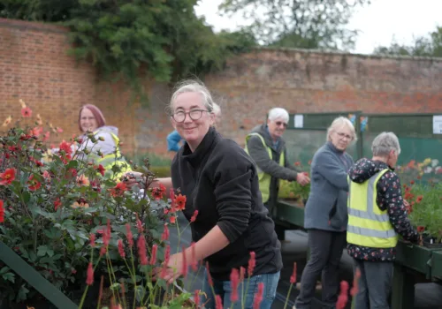 Autumn Plant Sale Returns to Chantry’s Hidden Garden Gem - Ipswich.love