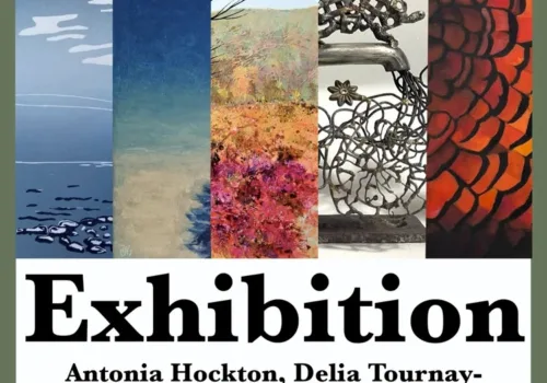 Exhibition – Greenhouse Gallery - Ipswich.love