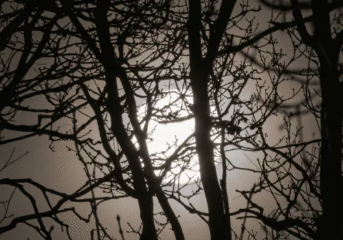 Mythical Witches and Supernatural Women Talk: Early 20th century Folklore & fiction in South England - Ipswich.love