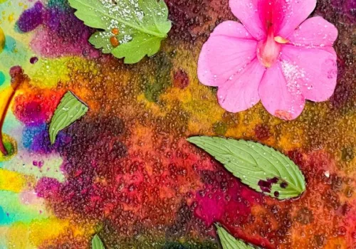 Plant Lore: A Family Workshop - Ipswich.love