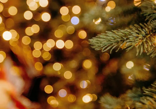 Christmas trail in the park - Ipswich.love