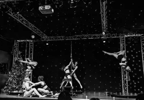 Charity Aerial Arts Showcase - Ipswich.love